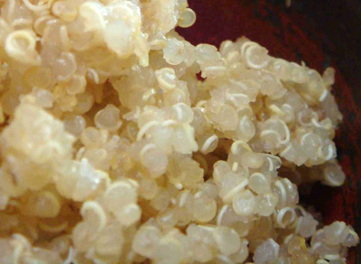 Uvařená quinoa vypadá legračně, její chuť připomíná rýži